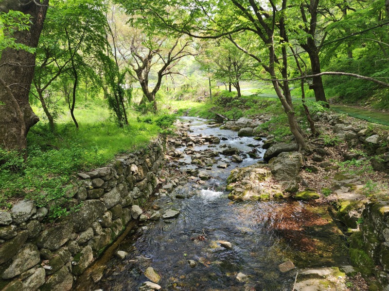 20250424_141328.jpg